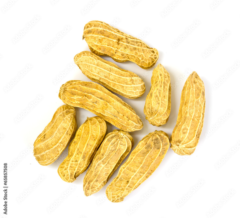 Boiled peanuts on white background Boiled peanuts on white background