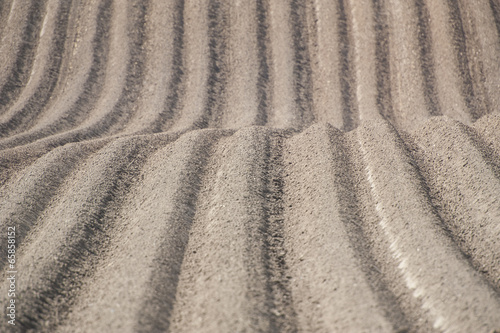 Furrows in ploughed field