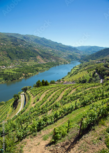 Le Douro (fleuve) dans la région de Porto au Portugal