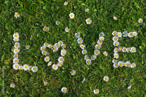 Love Quote of Flowers