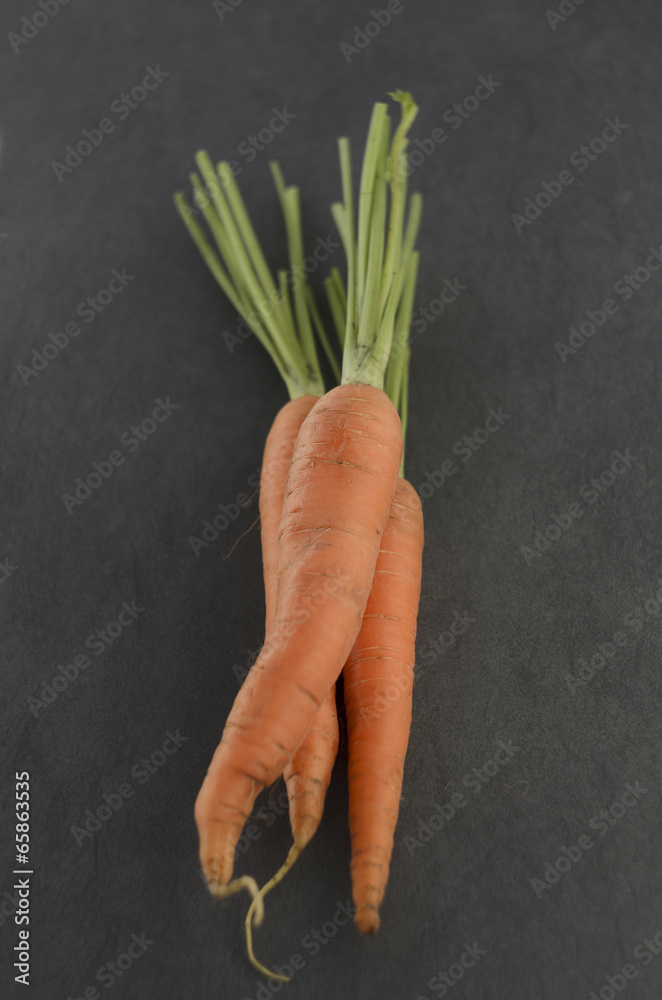 Bunch of carrots