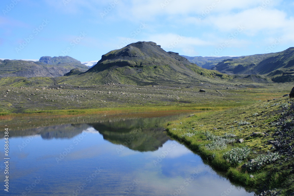 lago in Islanda naturale con fiori e ghiacciai