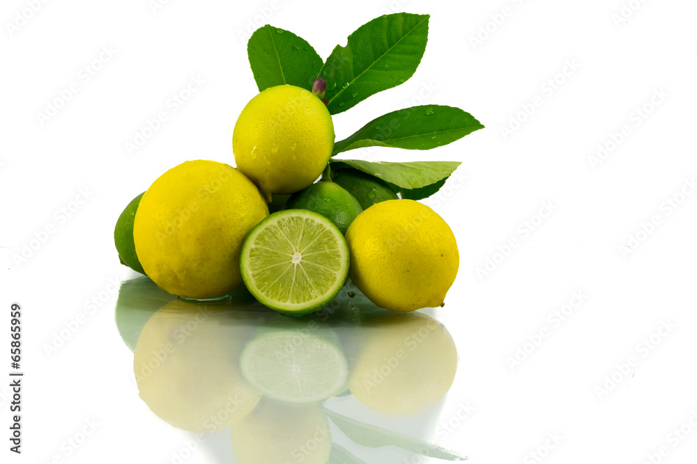 Fresh lemon, lime  slice isolated on a white background