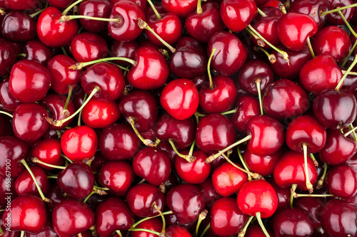Slika na platnu cherry