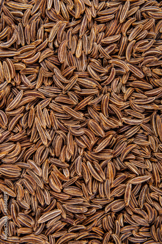 Dried cumin seeds