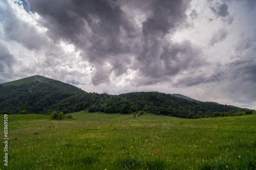 summer landscape after rain