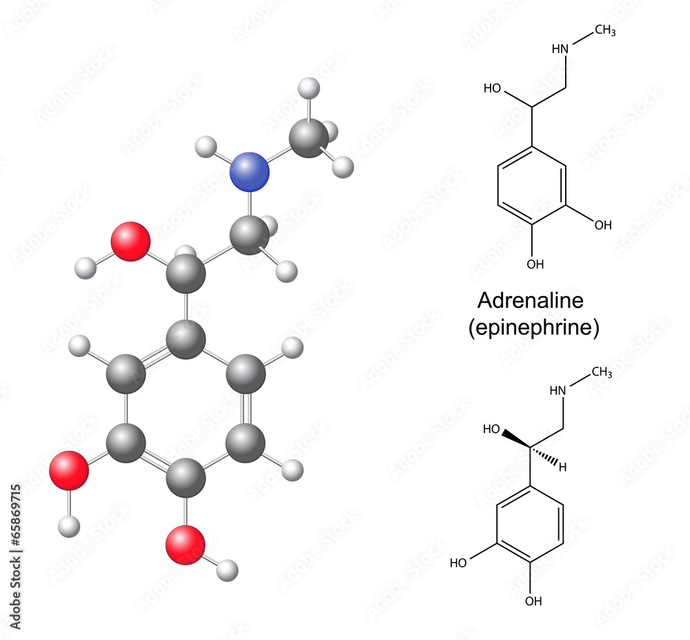 Structural chemical formulas and model of adrenaline Structural chemical formulas and model of adrenaline