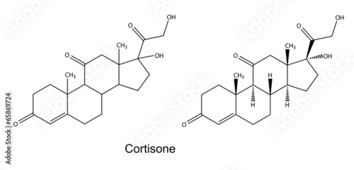 Structural chemical formulas of cortisone