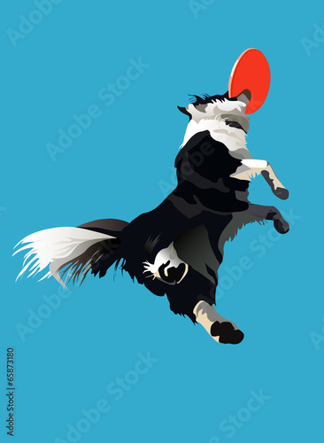 dog-frisbee1
