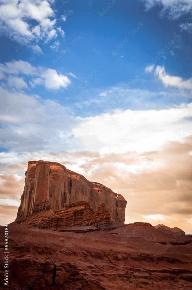 Fototapeta premium Elefant Monument valley