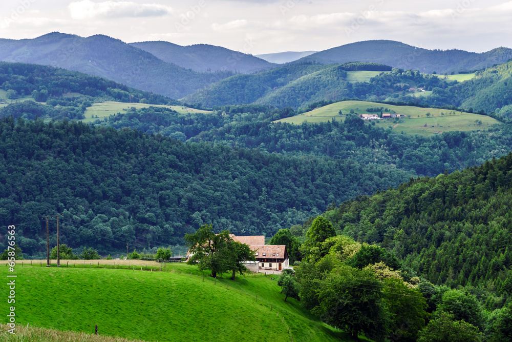 The green hills of Alsacea