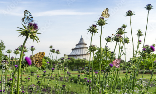 Jahrtausendturm im Elbauenpark Magdeburg