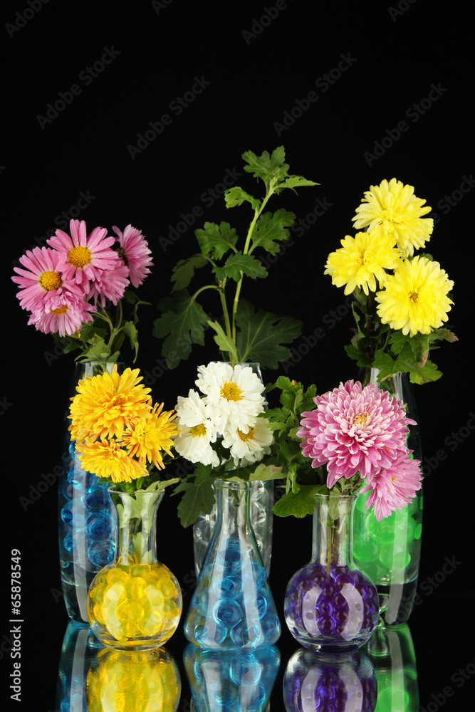 Obraz premium Beautiful flowers in vases with hydrogel isolated on black
