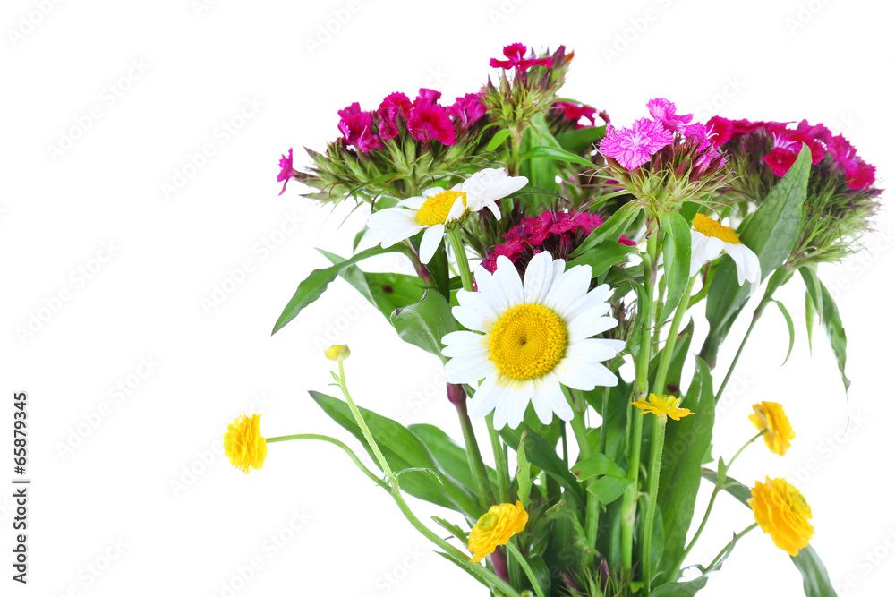Obraz premium Beautiful wildflowers isolated on white