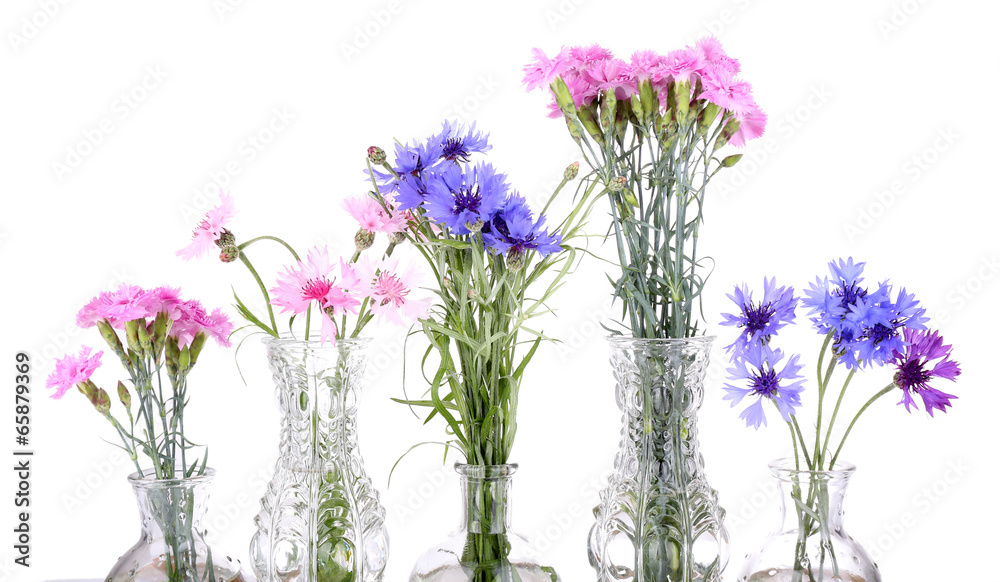 Naklejka premium Beautiful summer flowers in vases, isolated on white