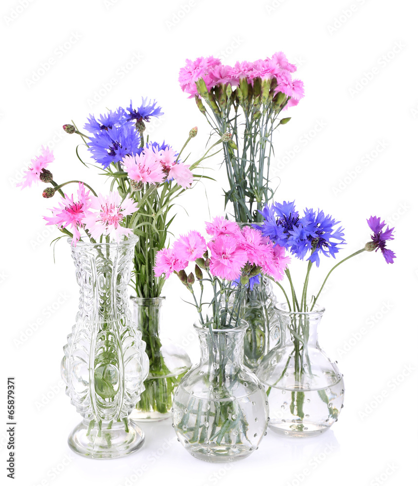 Beautiful summer flowers in vases, isolated on white Beautiful summer flowers in vases, isolated on white