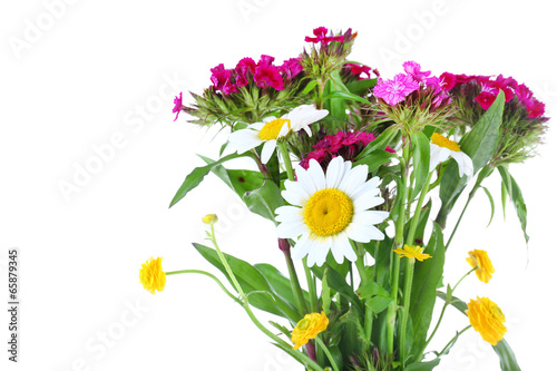 Fototapeta Naklejka Na Ścianę i Meble -  Beautiful wildflowers isolated on white