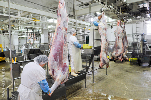 cutting meat in a meat factory photo