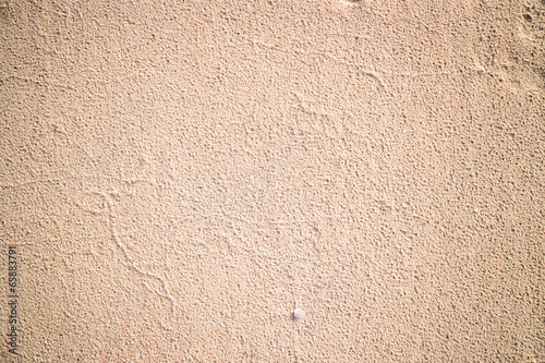 Wallpaper Mural Natural background of sand floor Torontodigital.ca