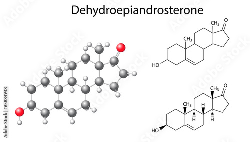Structural chemical formulas and model of dehydroepiandrosterone photo
