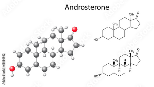 Structural chemical formulas and model of androsterone molecule