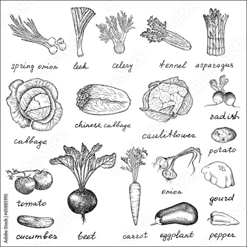vegetables set