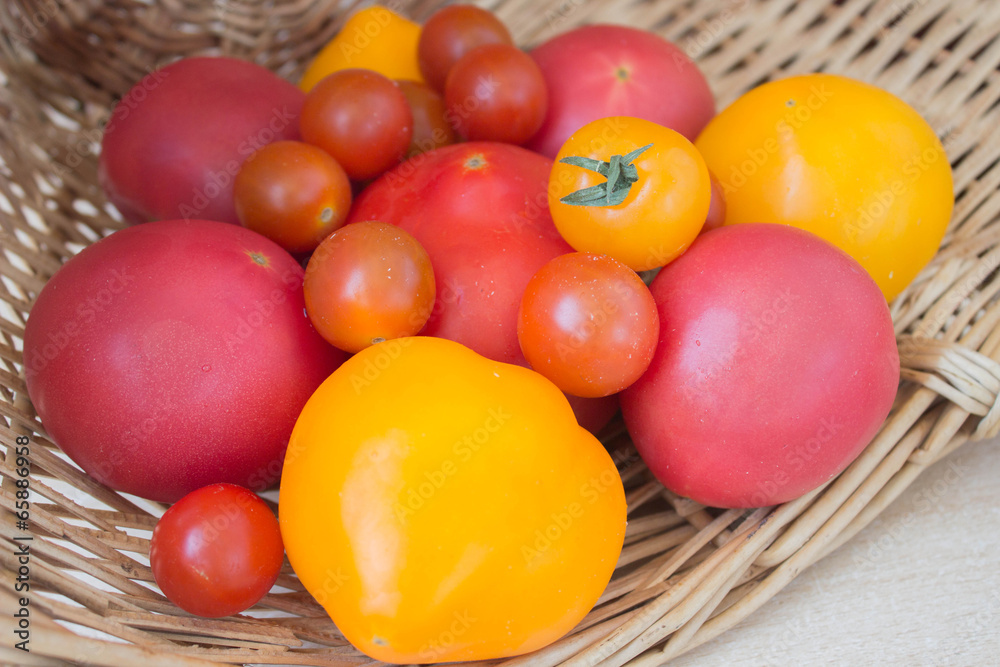 colorful tomatoes colorful tomatoes