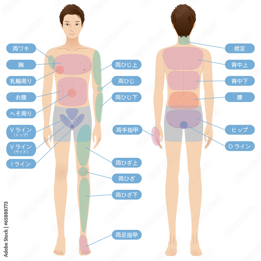 男性 美容 裸 ヌード 全身 Stock イラスト | Adobe Stock