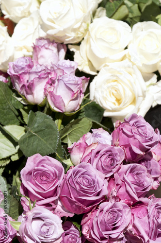 Bouquets of white and pink roses