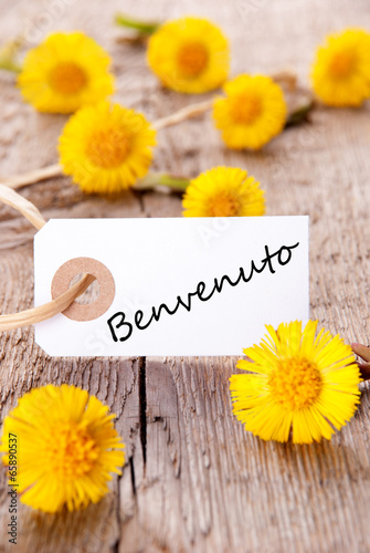 Yellow Flowers with Benvenuto