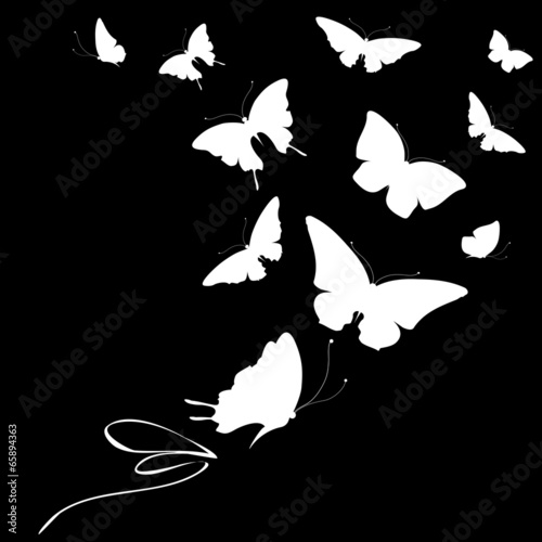 butterflies design