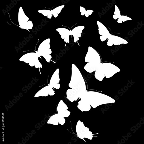 butterflies design