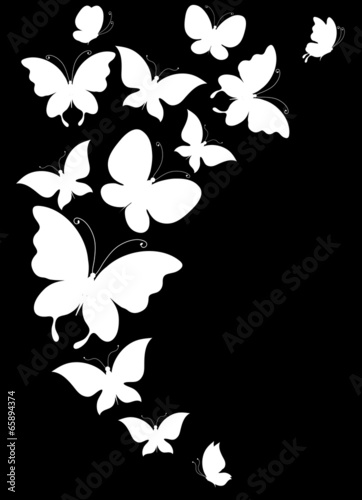 butterflies design