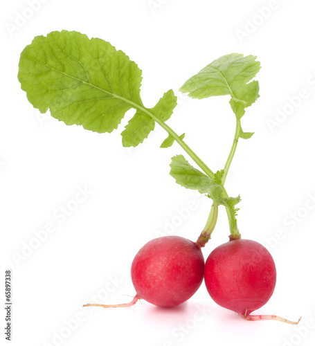 Small garden radish with leaves