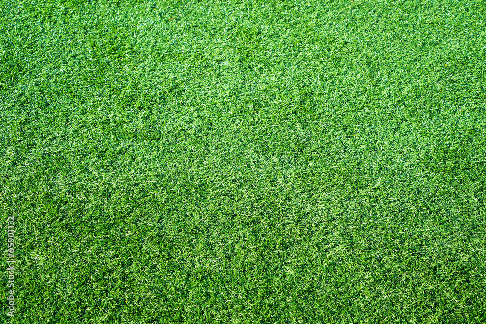 Fototapeta premium Green grass