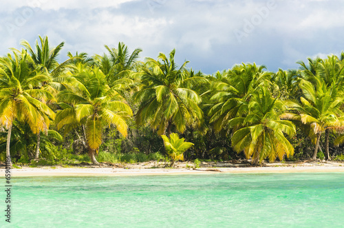 Fototapeta Naklejka Na Ścianę i Meble -  Palm trees over stunning lagoon and white sandy beach