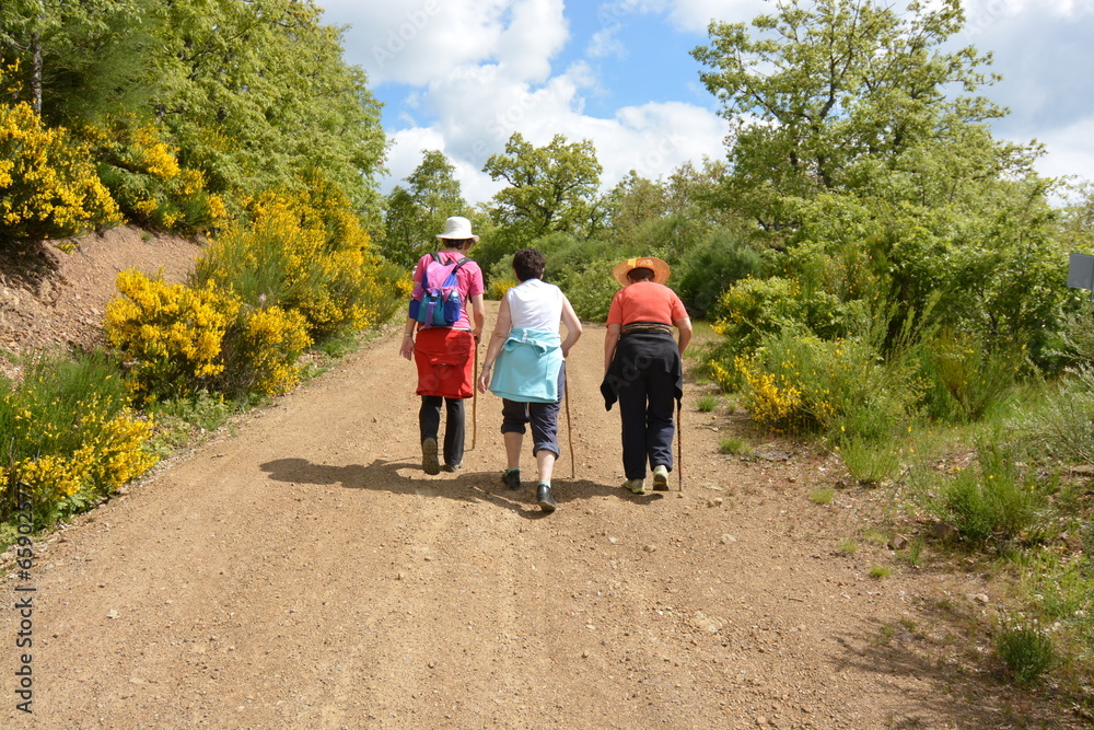 tres mujeres caminando por un camino en el monte tres mujeres caminando por un camino en el monte