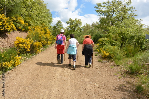 tres mujeres caminando por un camino en el monte