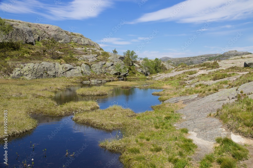 Fototapeta premium Preikestolen swampland 01