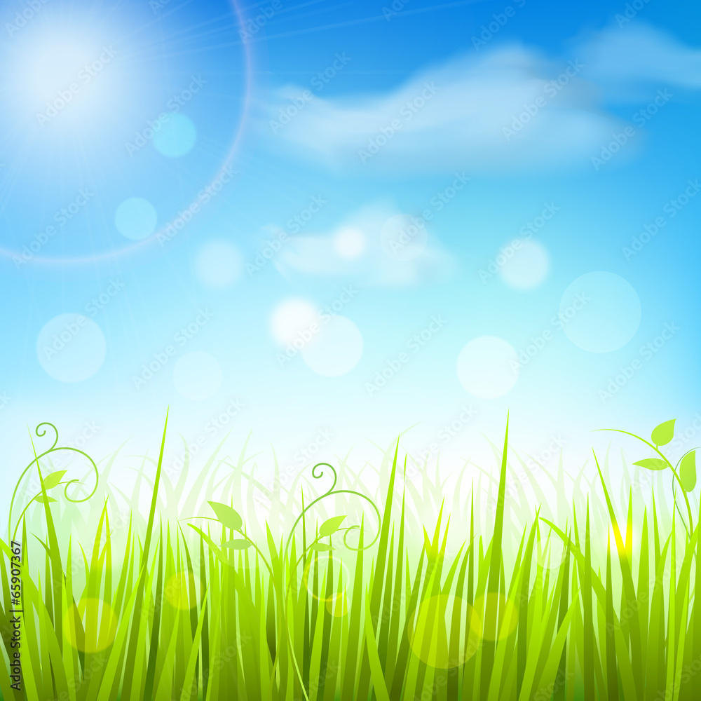 Spring meadow grass blue sky poster