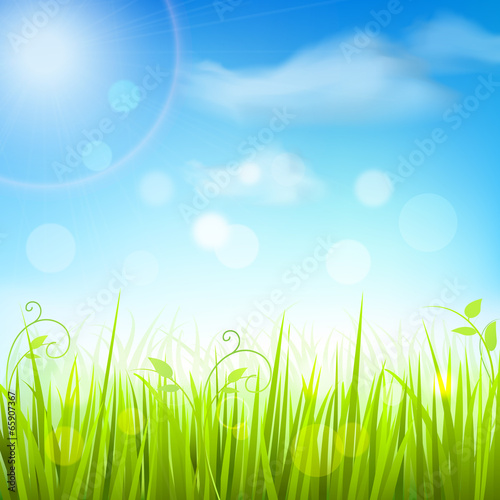 Spring meadow grass blue sky poster