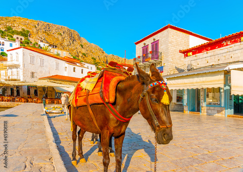 mules waiting for turists in the port of Hydra island in Greece