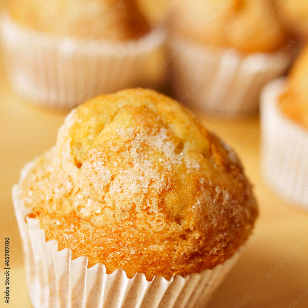 magdalenas, typical spanish plain muffins magdalenas, typical spanish plain muffins