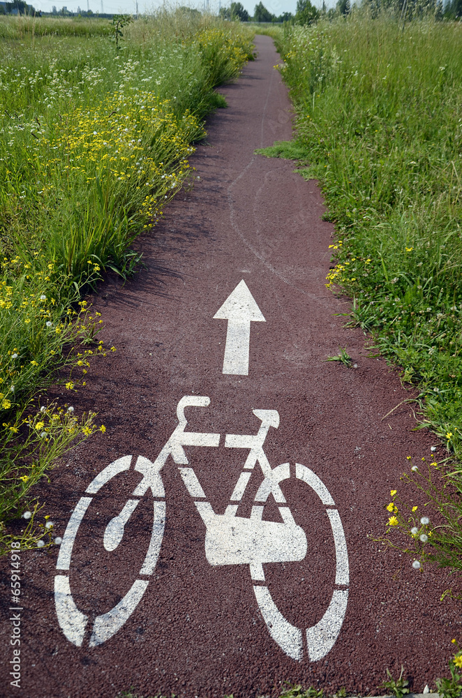 Obraz premium Segregated cycle facilities Pista ciclabile Radverkehrsanlage