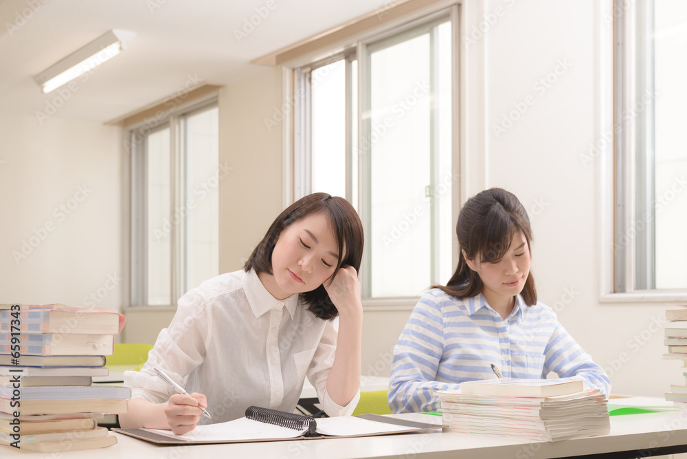 勉強中の大学生 勉強中の大学生