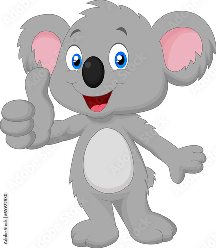 Cute koala giving thumb up