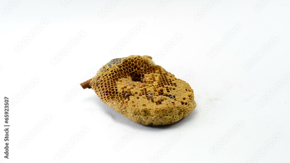 Pouring sweet honey on honeycomb Pouring sweet honey on honeycomb