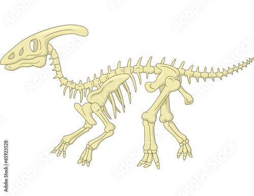 Parasaurolophus skeleton