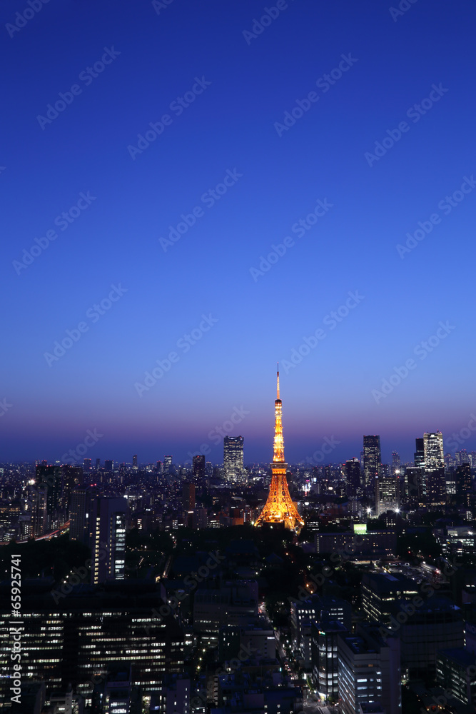 Fototapeta premium Tokyo cityscape, Japan