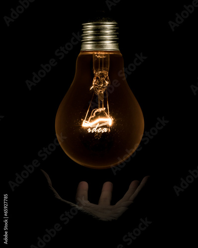 Light bulb idea concept